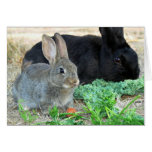 Bunny Card 4