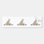 Bunny Cat Sad Bumper Sticker