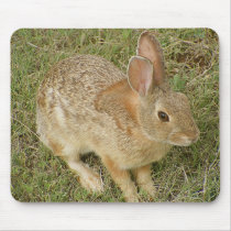 Bunny Charms You mousepads