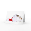 Bunny Christmas cards by deemac1 Bunny Christmas cards