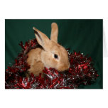 Bunny Christmas Greeting Card