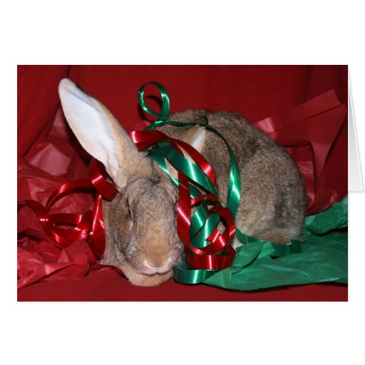 Bunny Christmas party Card
