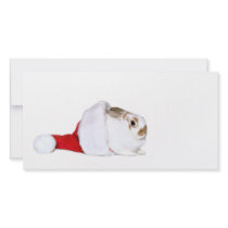 Bunny Christmas photo cards by deemac1 Bunny Christmas photo cards