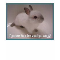 bunny coat t-shirts