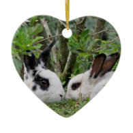 Bunny Couple Christmas Tree Ornaments
