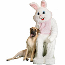 Bunny Cutout Photo Cutout