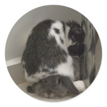Bunny disapproval (sticker)