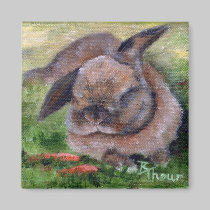 Bunny Dreams Magnet