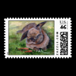 Bunny Dreams stamps