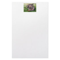 Bunny Dreams Stationary stationery