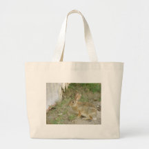 Bunny Eating Bag