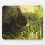 Bunny Eating Flower Mousepad