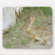 Bunny Eating mousepads