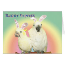 Bunny Express cards