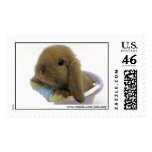 Bunny Eyed Stamp - Large