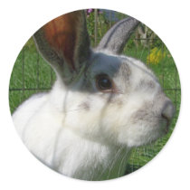 Bunny Face Sticker stickers