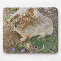 Bunny Facing Board mousepads