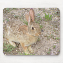 Bunny Fashion Model mousepads