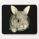 BUNNY FROM THE FARM mousepads by Sofia_Youshi BUNNY FROM THE FARM mousepads