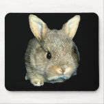 BUNNY FROM THE FARM mousepads