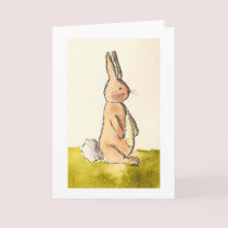 Bunny Greeting card cards