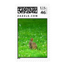 Bunny In Clover postage