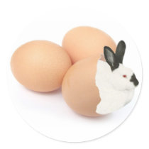 Bunny in Eggshells stickers