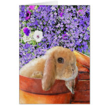 bunny in the flowerpots card
