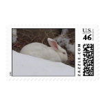 Bunny in the Snow Postage