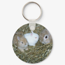 BUNNY KEY CHAIN keychains by coolcreatures BUNNY KEY CHAIN keychains