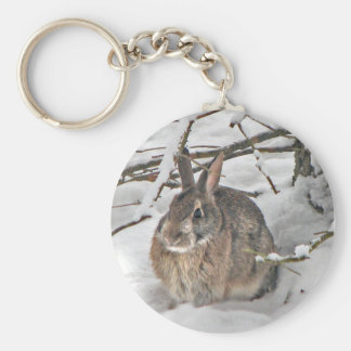 peter rabbit keychain