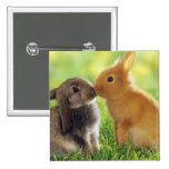 Bunny Kiss Buttons