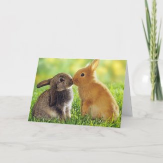 Bunny Kiss Cards