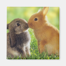 Bunny Kiss Fridge Magnets