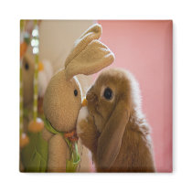 Bunny Kissing "Stuffed Toy Bunny" Magnet