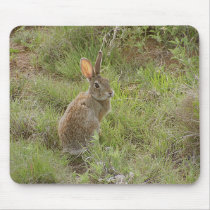 Bunny Looks Over Shoulder mousepads
