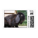 BUNNY LOVE postage