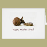 Bunny mother & baby - mother's day card cards
