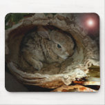 Bunny Mouse Pads