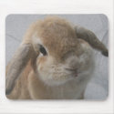 Bunny Mousepad by teeloft Bunny Mousepad