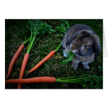 Bunny Munches Carrots / Notecard