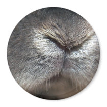 Bunny nose (magnet)