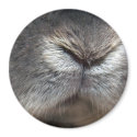 Bunny nose (magnet) by jade__c Bunny nose (magnet)