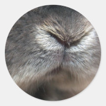 Bunny nose (sticker)