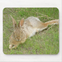 Bunny On Break mousepads