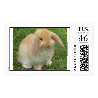 bunny postage stamps by trish1968