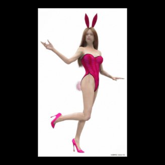 Bunny Posters