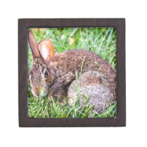 Bunny Premium Keepsake Box