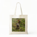 Bunny Rabbit bags