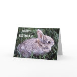Bunny Rabbit Birthday Card